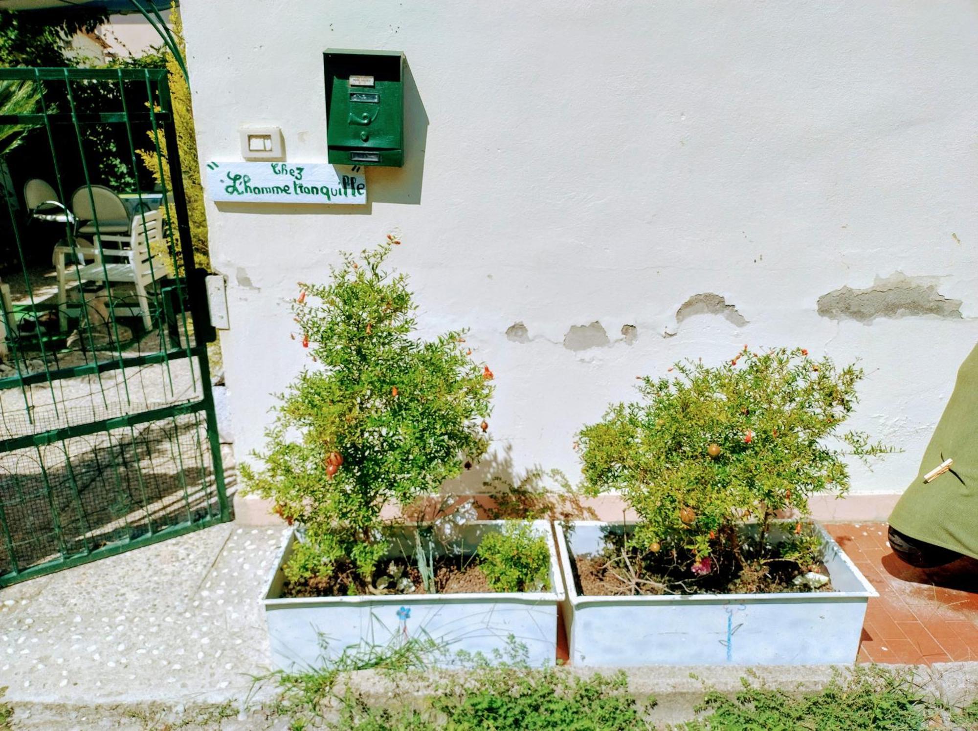 Apartamento Chez L'Homme Tranquille Arena Metato Exterior foto